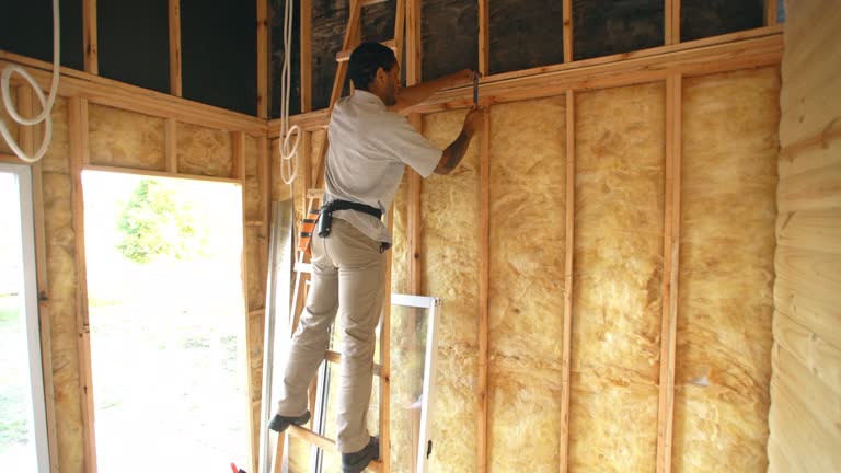 Best Soundproof Insulation  in Okemos, MI